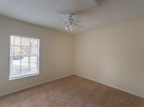 51 Fire Flicker Place, The Woodlands TX 77381