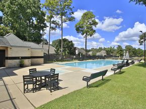 31407 Bearing Star Lane, Tomball TX 77375