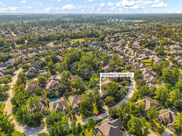 50 N Beech Springs Circle, The Woodlands TX 77389