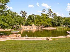 39 Olmstead Row, The Woodlands TX 77380
