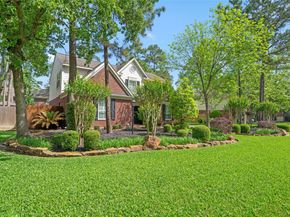 38 E Summer Storm Circle, The Woodlands TX 77381