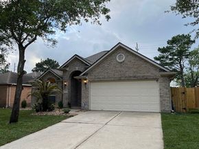 11111 Muleshoe Court, Houston TX 77095