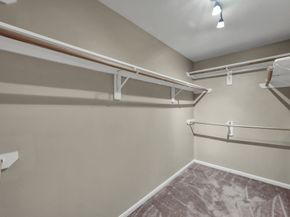 14 Bay Chapel Court, The Woodlands TX 77385