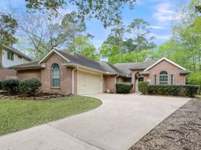 14 Bay Chapel Court, The Woodlands TX 77385
