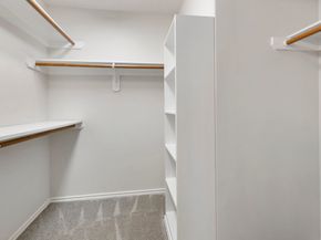 215 W Stedhill Loop, The Woodlands TX 77384