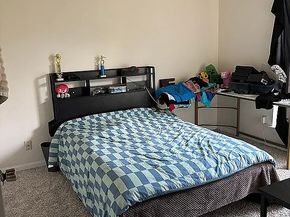 12115 Fawnview Drive, Houston TX 77070