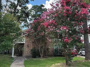 12115 Fawnview Drive, Houston TX 77070