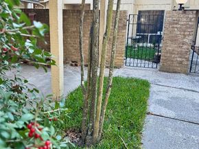 2329 W Settlers Way, The Woodlands TX 77380