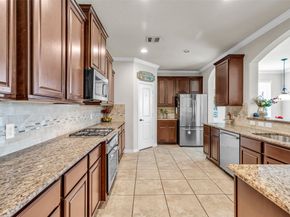 13918 Albany Springs Lane, Houston TX 77044