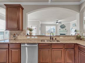 13918 Albany Springs Lane, Houston TX 77044