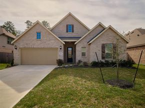 23534 Terreti Brook Drive, New Caney TX 77357