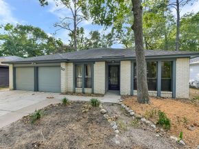 20 Tulip Hill Court, Spring TX 77380