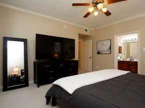 6607 Lake Woodlands Drive 223, The Woodlands TX 77382