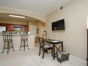 6607 Lake Woodlands Drive 223, The Woodlands TX 77382
