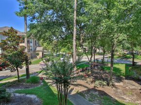 6607 Lake Woodlands Drive 223, The Woodlands TX 77382