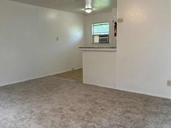 3830 Mount Pleasant Street, Houston TX 77021