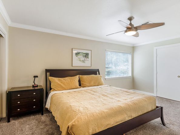 3510 Las Palmas Street, Houston TX 77027