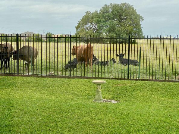 7817 Little Deer TRL, Georgetown TX 78628