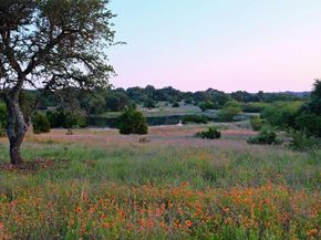 8108 Sarcelle DR, Austin TX 78738