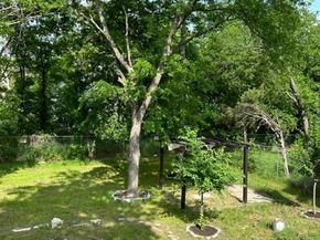 5708 Lark Creek DR, Austin TX 78744