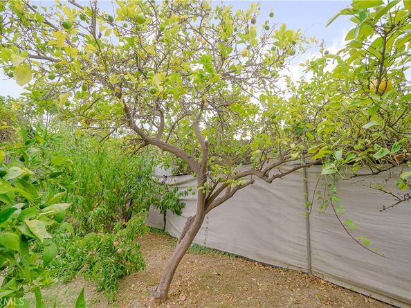 427 N Hicks Avenue, East Los Angeles CA 90063