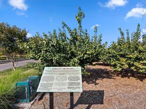 8466 Explorer Street, Chino CA 91708