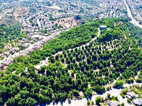 3135 E Valley Parkway, Escondido CA 92027