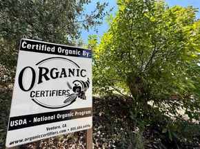 3135 E Valley Parkway, Escondido CA 92027