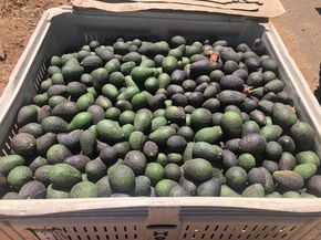 3135 E Valley Parkway, Escondido CA 92027