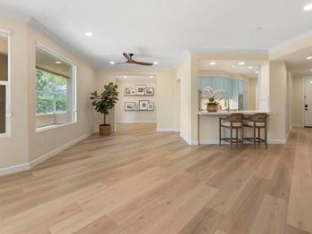 823 Kalpati Circle