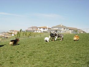 1213 Baker Street, San Marcos CA 92078