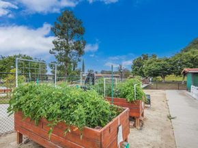 16182 Selva Drive, San Diego CA 92128