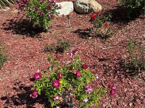 5585 E Pacific Coast Highway 154, Long Beach CA 90804