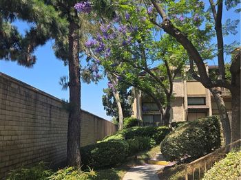 504 Jay Court