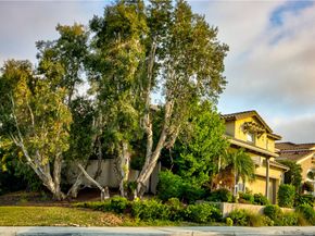 6 Avenida Fortuna, San Clemente CA 92673