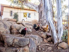 255 Hillside Place, El Cajon CA 92021