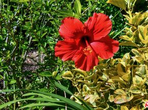 3661 El Encanto Drive, Calabasas CA 91302