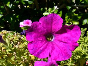 3661 El Encanto Drive, Calabasas CA 91302