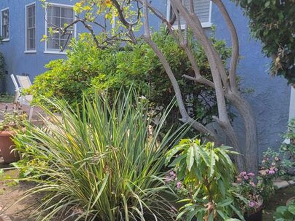 1137 26th Street B, Santa Monica CA 90403