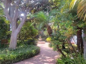 1137 26th Street B, Santa Monica CA 90403