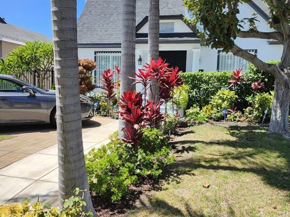 857 S Norton Avenue, Los Angeles CA 90005