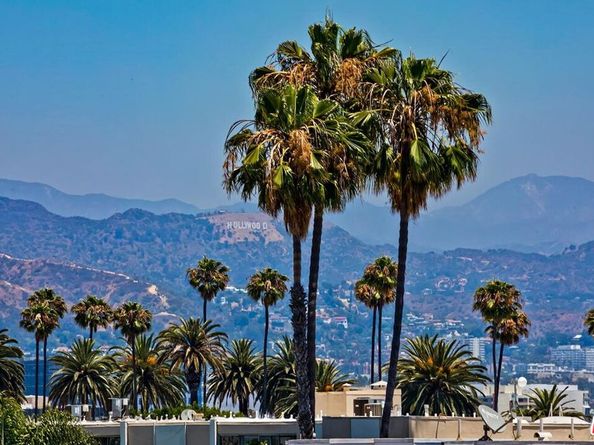 1115 S Elm Drive 401, Los Angeles CA 90035