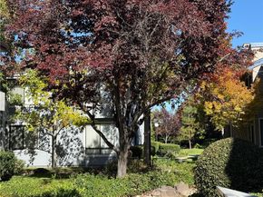 6452 Buena Vista, Newark CA 94560