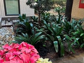 6112 Marina Pacifica Drive, Long Beach CA 90803