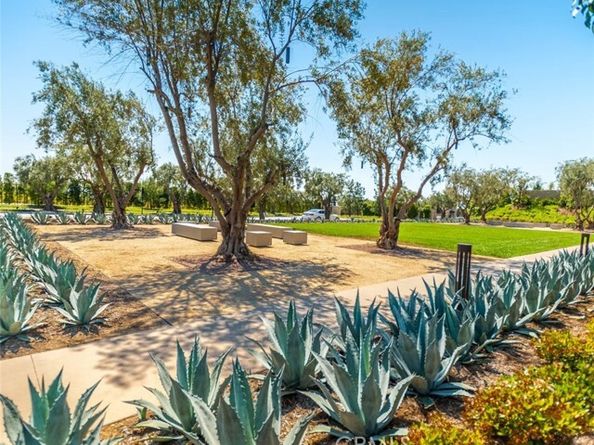 53 Chasma, Irvine CA 92618