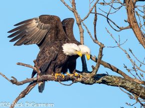 9551 E Lake Highlands Drive , Dallas Texas 75218