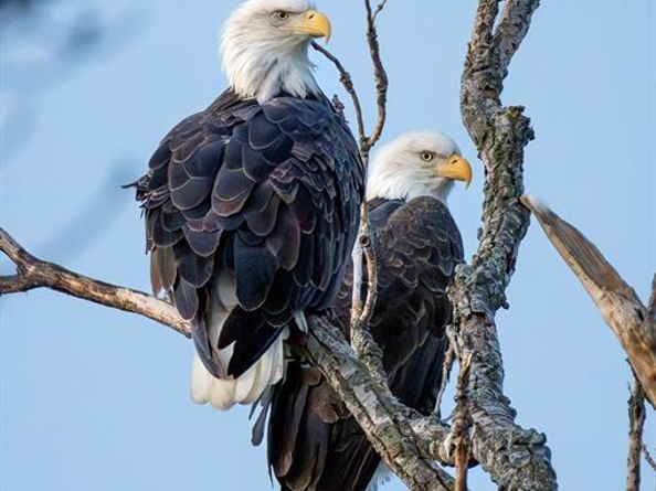 9551 E Lake Highlands Drive , Dallas Texas 75218