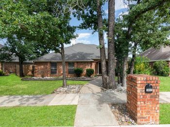 1447  Cat Mountain Trail 