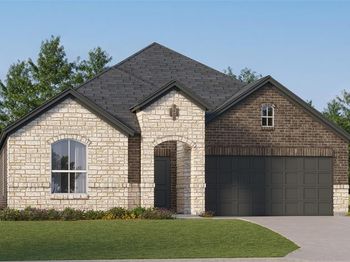 2624  Clear Root Circle 