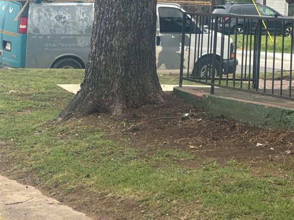 2435  Romine Avenue , Dallas Texas 75215